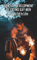 Identity Development Of Latino Gay Men: How To Fall In Love: Lgbt Books Nonfiction