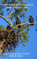 Haikus for Bald Eagles II: Princeton Eagles