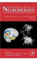 Modern Concepts of Focal Epileptic Networks