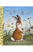 Home for a Bunny