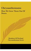 Chrysanthemums