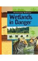 Wetlands In Danger