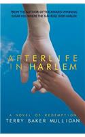 Afterlife in Harlem