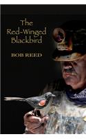 Red-Winged Blackbird