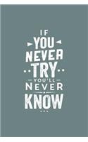 If you Never Try You'll Never Know