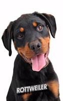 Rottweiler: Puppy - Weekly Calendar July 2019 - December 2021 - 30 Months - 131 pages 6 x 9 in. - Planner - Diary - Organizer - Agenda - Appointment - To-Do Sof