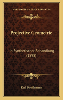 Projective Geometrie: In Synthetischer Behandlung (1898)(German)