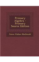 Primary Algebra