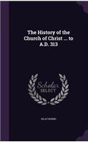 The History of the Church of Christ ... to A.D. 313