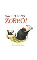 Say Hello to Zorro!
