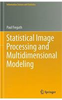 Statistical Image Processing and Multidimensional Modeling