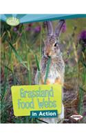 Grassland Food Webs in Action