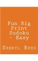 Fun Big Print Sudoku - Easy