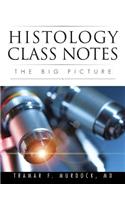Histology Class Notes: The Big Picture