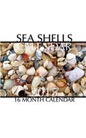 Sea Shells Calendar 2015: 16 Month Calendar