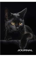 Black Cat Journal