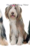 Bearded Collie February Notebook Bearded Collie Record, Log, Diary, Special Memories, To Do List, Academic Notepad, Scrapbook & More
