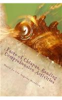Facts of Chiapas, Reading Comprehension Activities