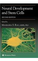 Neural Development and Stem Cells