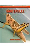Sauterelle: Images étonnantes et faits amusants pour les enfants