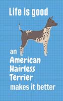Life is good an American Hairless Terrier makes it better