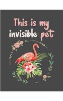 This is my invisible pet