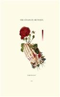 The Chaos In-Between
