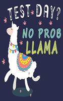 Test Day No Prob Llama