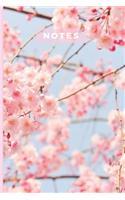 Notes: Lined Notebook Journal, 120 pages, A5 sized