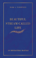 Beautiful Stream Called Life