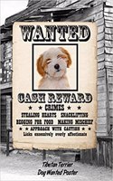 Tibetan Terrier Dog Wanted Poster: Isometric Dot Drawing Paper Notebook Featuring 120 Pages 6x9