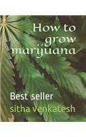 How to Grow Marijuana