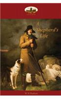 A Shepherd's Life: Impressions of the South Wiltshire Downs (Aziloth Books)(English)
