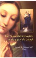 The Immaculate Conception in the Life of the Church