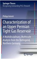 Characterization of an Upper Permian Tight Gas Reservoir