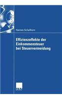 Effizienzeffekte Der Einkommensteuer Bei Steuervermeidung