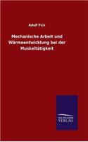 Mechanische Arbeit und Wärmeentwicklung bei der Muskeltätigkeit