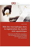 R�le Des Macrophages Dans La R�g�n�ration Du Muscle Stri� Squelettique: (Omn.Univ.Europ.)
