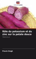 Rôle du potassium et du zinc sur la patate douce