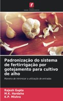 Padronização do sistema de fertirrigação por gotejamento para cultivo de alho