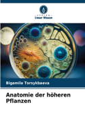 Anatomie der höheren Pflanzen