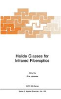 Halide Glasses for Infrared Fiberoptics