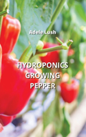 Hydroponics Growing Pepper