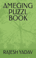 Ameging Puzzl Book