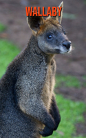 Wallaby: Learn About Wallaby and Enjoy Colorful Pictures