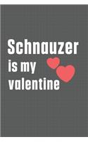 Schnauzer is my valentine: For Schipperke Dog Fans