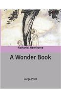 A Wonder Book: Large Print