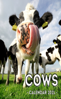 Cows Calendar 2021: 16-Month Calendar, Cute Gift Idea For Cow Lovers Women & Men