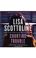 Courting Trouble: (7 Rosato & Associates Series)