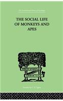 The Social Life Of Monkeys And Apes